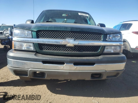 2004 Chevrolet Silverado 1500 LS with VIN 2GCEK19T641183546, listed as a Copart auction lot 44047325 with 163,510 mi miles and Salvage Title. Bid and sale history available at carsss.com. Image 5.