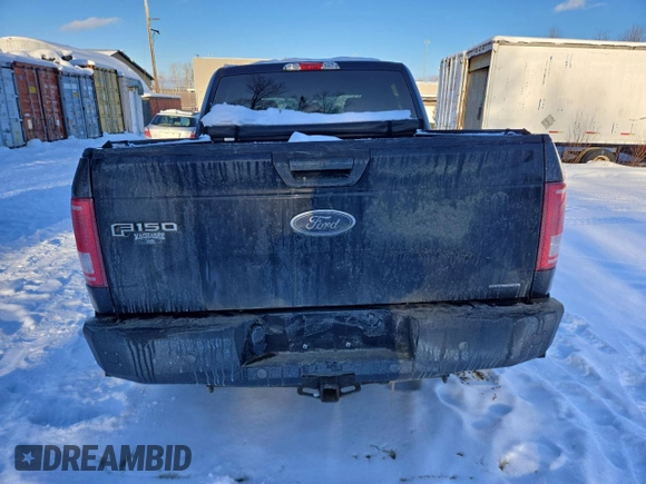 2015 Ford F-150 XLT with VIN 1FTEW1E83FFC62819, listed as a Copart auction lot 88493345 with 295,867 mi miles and Salvage Title. Bid and sale history available at DreamBid. Image 6.