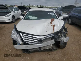 2013 Hyundai Azera with VIN KMHFG4JGXDA215602, listed as a Copart auction lot 66165305 with 119,166 mi miles and Clean title. Bid and sale history available at DreamBid. Image 5.