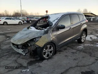 2014 Ford Escape SE with VIN 1FMCU9GX8EUA34028, listed as a Copart auction lot 86412394 with Not Provided miles and Salvage Title. Bid and sale history available at DreamBid. Image 1.