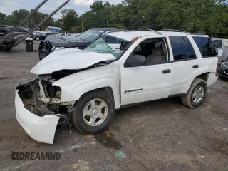 2002 Chevrolet TrailBlazer LS with VIN 1GNDS13S222416984, listed as a Copart auction lot 74203214 with Not Provided miles and Non Repairable. Bid and sale history available at DreamBid. Image 1.