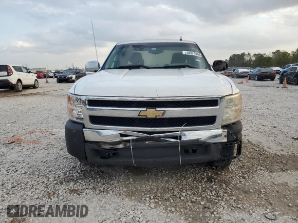2010 Chevrolet Silverado 1500 LS with VIN 1GCSCREA9AZ272646, listed as a Copart auction lot 48374965 with 290,276 mi miles and Salvage Title. Bid and sale history available at carsss.com. Image 5.