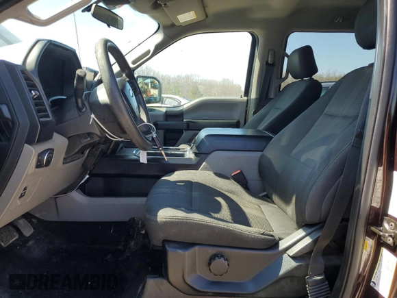 2019 Ford F-150 XL with VIN 1FTEW1CP1KKE44496, listed as a Copart auction lot 48352345 with 188,673 mi miles and Clean Title. Bid and sale history available at carsss.com. Image 7.