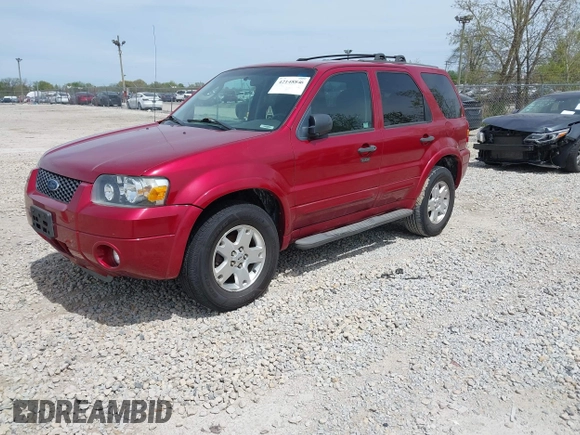 2007 Ford Escape XLT with VIN 1FMYU03117KB44940, listed as a IAAI auction lot 42148846 with 238,871 mi miles. Bid and sale history available at carsss.com. Image 2.