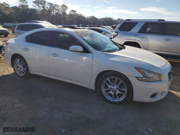 2010 Nissan Maxima 3.5 SV w/Premium Pkg with VIN 1N4AA5AP5AC845541, listed as a Copart auction lot 82057984 with 80,146 mi miles and Salvage Title. Bid and sale history available at carsss.com. Image 4.