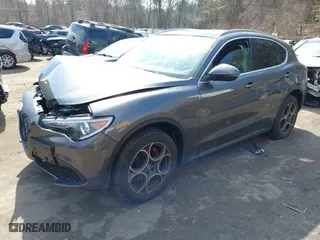 2019 Alfa Romeo Stelvio with VIN ZASPAKAN2K7C32358, listed as a IAAI auction lot 41699081 with 23,465 mi miles. Bid and sale history available at carsss.com. Image 17.
