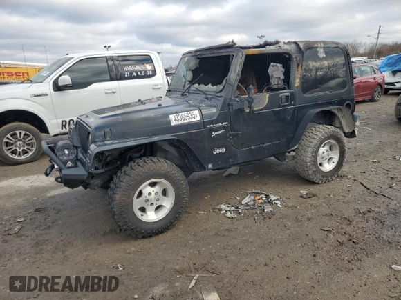 2002 Jeep Wrangler Sport with VIN 1J4FA49S22P751916, listed as a Copart auction lot 43386935 with 0 mi miles and Non Repairable. Bid and sale history available at carsss.com. Image 1.