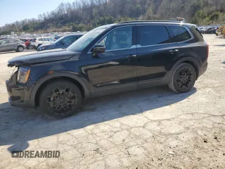 2021 Kia Telluride SX z VIN 5XYP5DHC8MG124720, wystawiony jako Copart lot #48765715 z przebiegiem 99 586 mil mil oraz Szkoda całkowita • Salvage title. Historia ofert i sprzedaży dostępna na DreamBid. Obrazek 1.