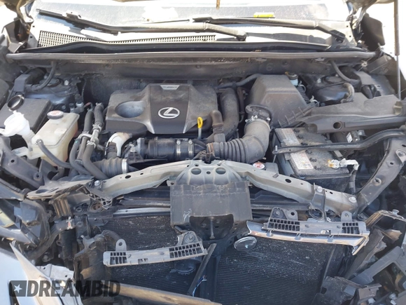 2021 Lexus NX 300 with VIN JTJDARDZ6M2257909, listed as a IAAI auction lot 42018626 with 107,930 mi miles and . Bid and sale history available at DreamBid. Image 10.