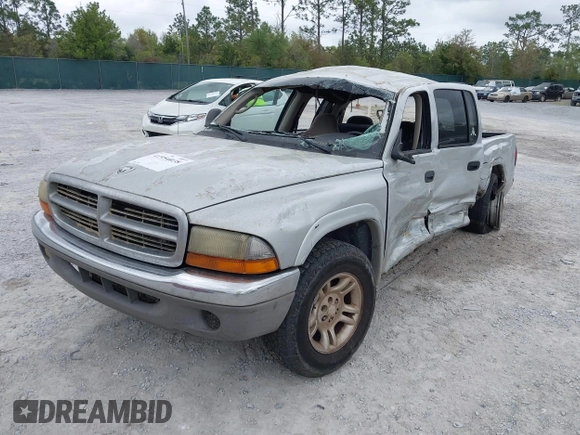 2003 Dodge Dakota SLT with VIN 1D7HL48N13S274856, listed as a IAAI auction lot 41954038 with 306,728 mi miles. Bid and sale history available at carsss.com. Image 17.