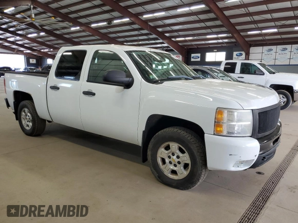2009 Chevrolet Silverado 1500 LT with VIN 3GCEK23349G158321, listed as a Copart auction lot 55464425 with 119,509 mi miles and Clean Title. Bid and sale history available at DreamBid. Image 4.