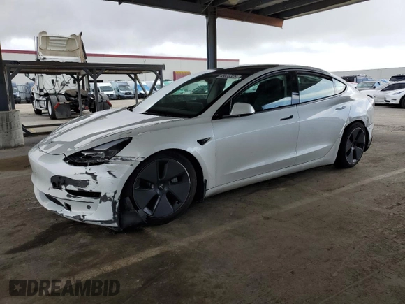 2023 Tesla Model 3 with VIN 5YJ3E1EA7PF488316, listed as a Copart auction lot 49655325 with 60,589 mi miles and Salvage Title. Bid and sale history available at DreamBid. Image 1.