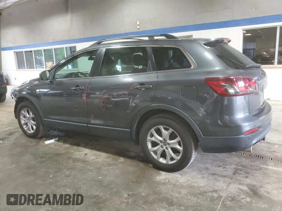 2014 Mazda CX-9 Touring with VIN JM3TB3CV9E0430382, listed as a Copart auction lot 56382125 with 173,481 mi miles and Salvage title. Bid and sale history available at DreamBid. Image 2.