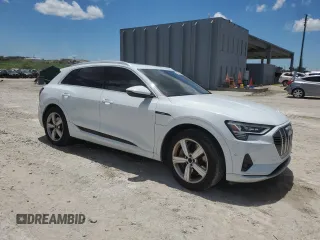 2019 Audi e-tron Prestige with VIN WA1VAAGE0KB013133, listed as a Copart auction lot 57060255 with 50,222 mi miles and Salvage title. Bid and sale history available at DreamBid. Image 4.
