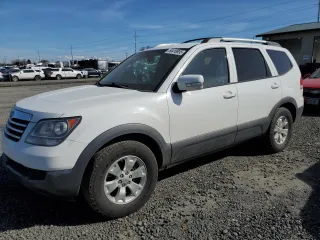 2009 Kia Borrego EX with VIN KNDJH741195016118, listed as a Copart auction lot 50418995 with 176,968 mi miles and Salvage Title. Bid and sale history available at carsss.com. Image 1.