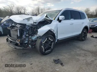 2023 Kia Telluride S z VIN 5XYP6DGC0PG384872, wystawiony jako Copart lot #54167555 z przebiegiem 20 324 mil mil oraz Szkoda całkowita • Salvage title. Historia ofert i sprzedaży dostępna na DreamBid. Obrazek 1.