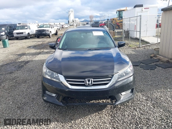 2014 Honda Accord Sedan Sport with VIN 1HGCR2F50EA176972, listed as a IAAI auction lot 41708707 with 124,310 mi miles. Bid and sale history available at carsss.com. Image 12.