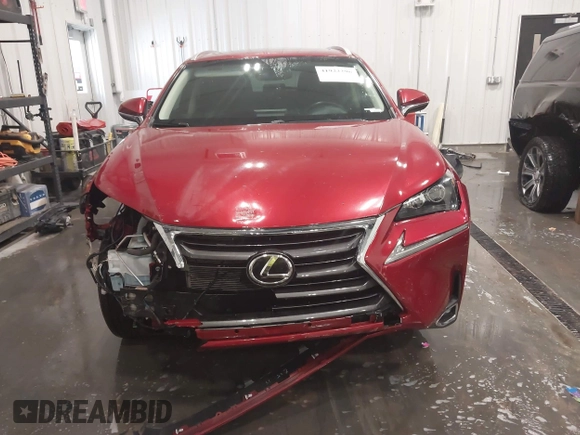 2016 Lexus NX 200t with VIN JTJYARBZ0G2049713, listed as a IAAI auction lot 41922296 with 132,526 mi miles. Bid and sale history available at carsss.com. Image 13.