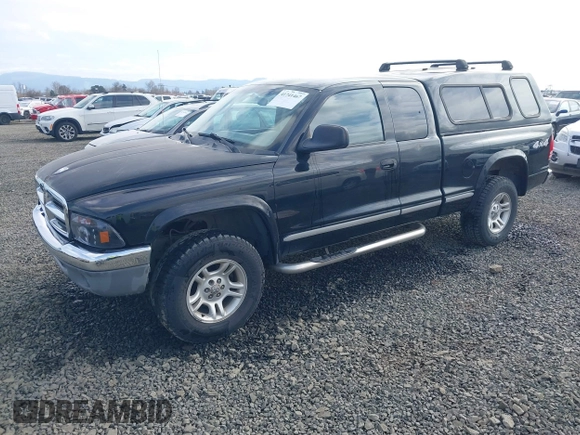 2004 Dodge Dakota SLT with VIN 1D7HG42N94S618531, listed as a IAAI auction lot 41741467 with 202,422 mi miles. Bid and sale history available at carsss.com. Image 17.