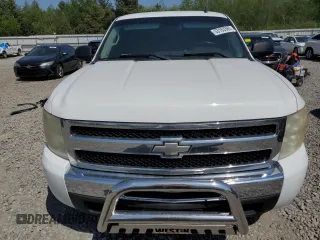 2009 Chevrolet Silverado 1500 with VIN 1GCEC24089Z124609, listed as a Copart auction lot 53163365 with 135,021 mi miles and Clean Title. Bid and sale history available at DreamBid. Image 5.