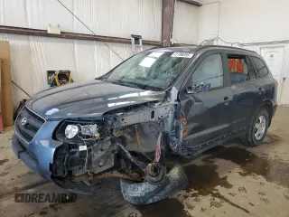 2009 Hyundai Santa Fe GL z VIN 5NMSG13E39H257636, wystawiony jako Copart lot #41706395 z przebiegiem 279 895 mil mil oraz Szkoda całkowita • Salvage title. Historia ofert i sprzedaży dostępna na DreamBid. Obrazek 1.