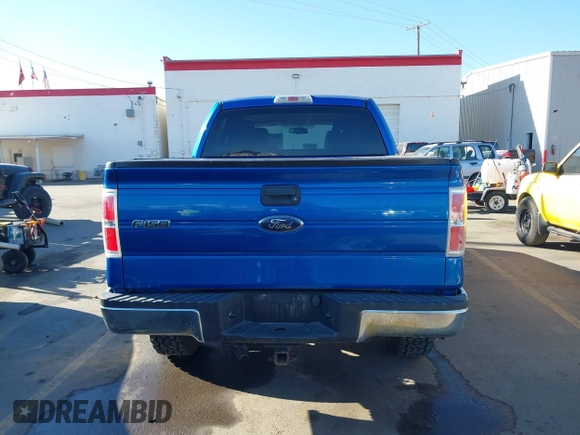 2010 Ford F-150 XL with VIN 1FTEW1E87AFB51697, listed as a IAAI auction lot 41454088 with 171,787 mi miles and . Bid and sale history available at DreamBid. Image 16.