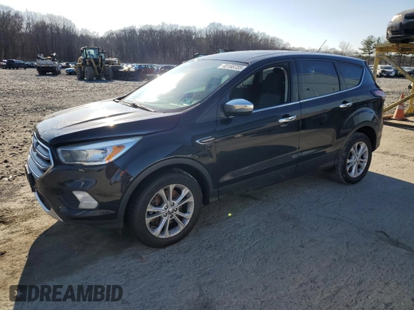 2017 Ford Escape SE with VIN 1FMCU9G98HUD29930, listed as a Copart auction lot 48168735 with 143,891 mi miles and Salvage Title. Bid and sale history available at carsss.com. Image 1.