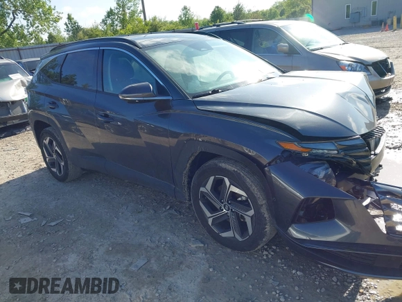 2024 Hyundai Tucson Limited with VIN 5NMJECDE4RH297445, listed as a IAAI auction lot 42226439 with 11,824 mi miles and . Bid and sale history available at DreamBid. Image 1.