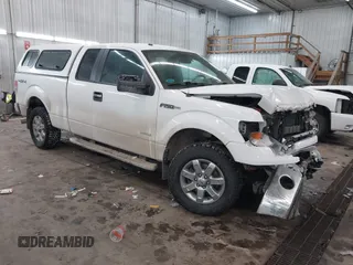 2014 Ford F-150 XL with VIN 1FTFX1ET9EFA62502, listed as a IAAI auction lot 41575300 with 123,698 mi miles and . Bid and sale history available at DreamBid. Image 1.