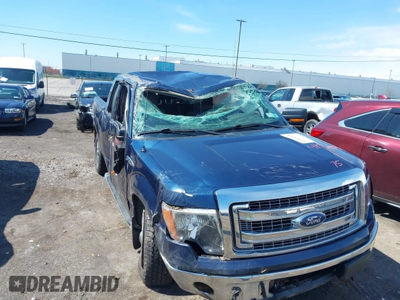 2013 Ford F-150 XL with VIN 1FTFX1EFXDKG21202, listed as a IAAI auction lot 41833771 with 142,152 mi miles. Bid and sale history available at carsss.com. Image 17.