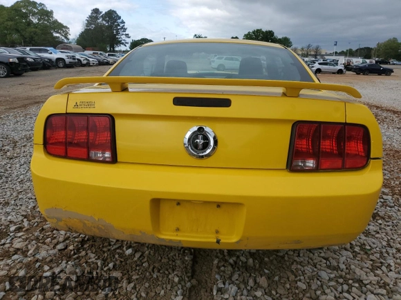 2006 Ford Mustang Standard with VIN 1ZVFT80N065127934, listed as a Copart auction lot 51987095 with Not Provided miles and Salvage Title. Bid and sale history available at carsss.com. Image 6.