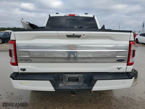 2021 Ford F-150 XL with VIN 1FTFW1E59MFA99486, listed as a Copart auction lot 85793194 with 124,055 mi miles and Salvage Title. Bid and sale history available at carsss.com. Image 6.