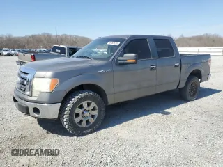 2009 Ford F-150 XL with VIN 1FTPW14V79FB41327, listed as a Copart auction lot 48768655 with 149,197 mi miles and Salvage title. Bid and sale history available at DreamBid. Image 1.