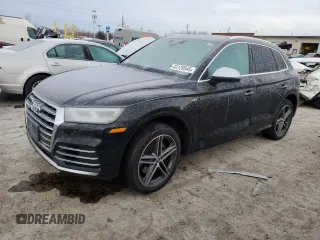 2018 Audi SQ5 Premium Plus with VIN WA1A4AFY6J2223865, listed as a Copart auction lot 43139545 with 123,936 mi miles and Clean Title. Bid and sale history available at DreamBid. Image 1.