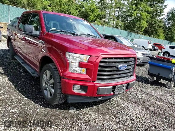 2017 Ford F-150 XL with VIN 1FTEW1EP4HKE01681, listed as a Copart auction lot 57532195 with 95,882 mi miles and Salvage title. Bid and sale history available at DreamBid. Image 13.