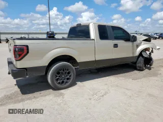 2009 Ford F-150 STX with VIN 1FTRX12W79KC78227, listed as a Copart auction lot 62272975 with 189,516 mi miles and Salvage title. Bid and sale history available at DreamBid. Image 3.