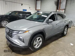 2024 Hyundai Tucson SEL with VIN 5NMJBCDEXRH383691, listed as a Copart auction lot 53918525 with 28,974 mi miles and Clean Title. Bid and sale history available at carsss.com. Image 1.