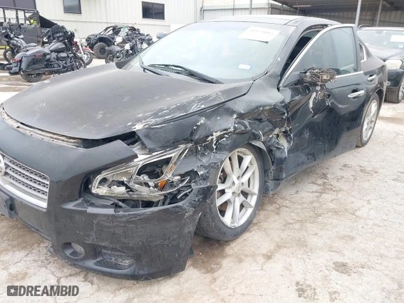 2009 Nissan Maxima 3.5 S with VIN 1N4AA51E89C831062, listed as a IAAI auction lot 41923084 with 176,709 mi miles. Bid and sale history available at carsss.com. Image 6.