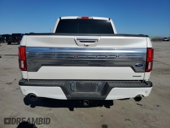 2019 Ford F-150 Limited with VIN 1FTEW1EG1KFC08162, listed as a Copart auction lot 46287575 with 115,113 mi miles and Salvage Title. Bid and sale history available at carsss.com. Image 6.