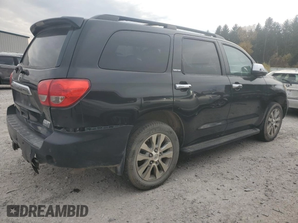 2010 Toyota Sequoia Ltd with VIN 5TDKY5G10AS030286, listed as a Copart auction lot 77495294 with 0 mi miles and Salvage Title. Bid and sale history available at carsss.com. Image 3.