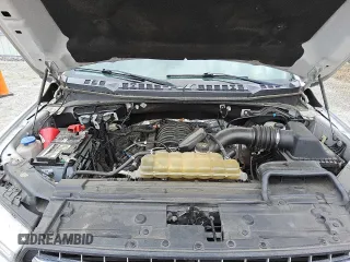 2019 Ford F-150 XL with VIN 1FTEW1E57KFB00501, listed as a Copart auction lot 49469185 with 251,210 mi miles and Clean Title. Bid and sale history available at carsss.com. Image 11.