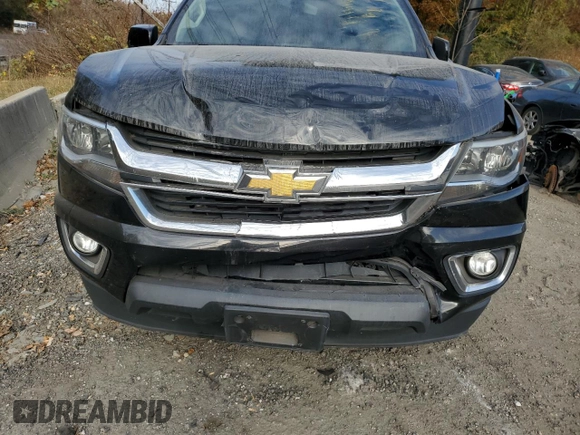 2016 Chevrolet Colorado 2WD LT with VIN 1GCHSCEA1G1257219, listed as a Copart auction lot 72680264 with 185,921 mi miles and Salvage Title. Bid and sale history available at carsss.com. Image 11.