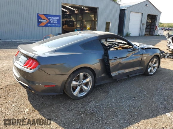 2019 Ford Mustang GT with VIN 1FA6P8CF6K5190189, listed as a Copart auction lot 68164184 with Not provided miles and Non repairable. Bid and sale history available at DreamBid. Image 3.