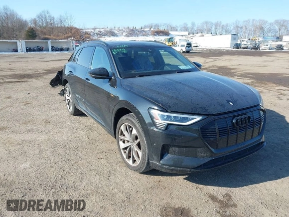 2021 Audi e-tron Premium Plus z VIN WA1LAAGE5MB012022, wystawiony jako IAAI lot #41458134 z przebiegiem 42 137 mil mil oraz . Historia ofert i sprzedaży dostępna na DreamBid. Obrazek 1.