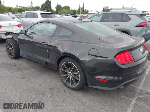 2022 Ford Mustang EcoBoost with VIN 1FA6P8TH2N5135583, listed as a IAAI auction lot 42280818 with 18,377 mi miles and . Bid and sale history available at DreamBid. Image 3.