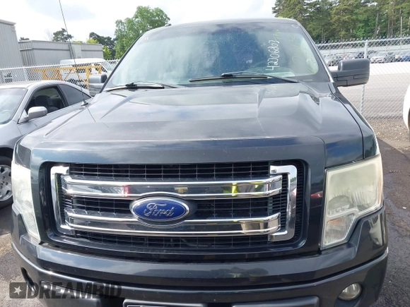 2013 Ford F-150 XL with VIN 1FTFX1CF2DFD52303, listed as a IAAI auction lot 42306803 with 173,728 mi miles and . Bid and sale history available at DreamBid. Image 12.