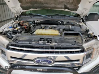 2019 Ford F-150 XL with VIN 1FTFW1E54KKE16420, listed as a Copart auction lot 62522515 with 141,177 mi miles and Clean title. Bid and sale history available at DreamBid. Image 11.