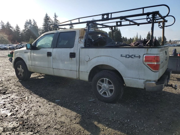 2010 Ford F-150 XL with VIN 1FTFW1EV6AFD05682, listed as a Copart auction lot 52823185 with 154,221 mi miles and Clean Title. Bid and sale history available at carsss.com. Image 2.