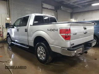 2013 Ford F-150 XL with VIN 1FTFW1EF1DFD38831, listed as a Copart auction lot 46692585 with 207,959 mi miles and Salvage Title. Bid and sale history available at DreamBid. Image 2.