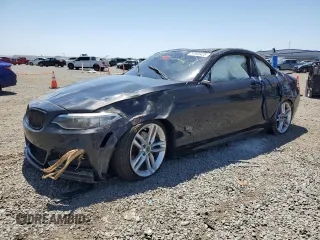 2016 BMW 2 Series 228i with VIN WBA1F9C53GV546624, listed as a Copart auction lot 57800425 with 96,608 mi miles and Salvage title. Bid and sale history available at DreamBid. Image 1.